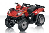 2010 Arctic Cat 150 Youth 2x4 photo